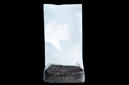 Pasteurisiertes Bio Kokos-Substrat für Medizinal- und dungliebende Pilze